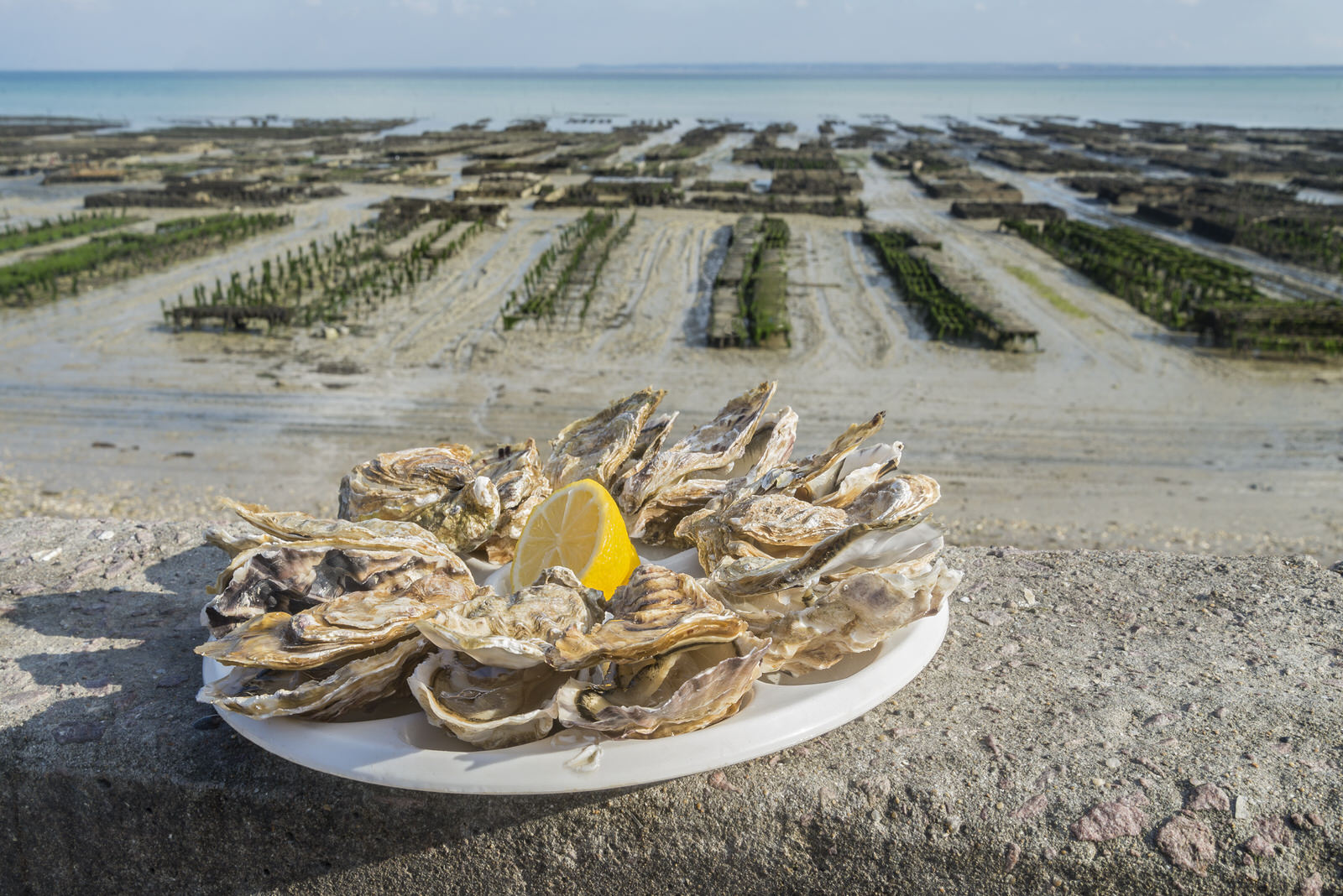 Устричные фермы в канкале. Cancale Франция устрицы. Устричная ферма Анапа большой Утриш. Устрица Бретань.